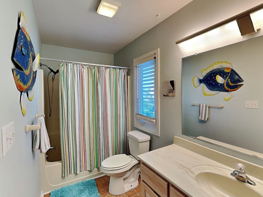 The Shell Collector by Topsail Realty