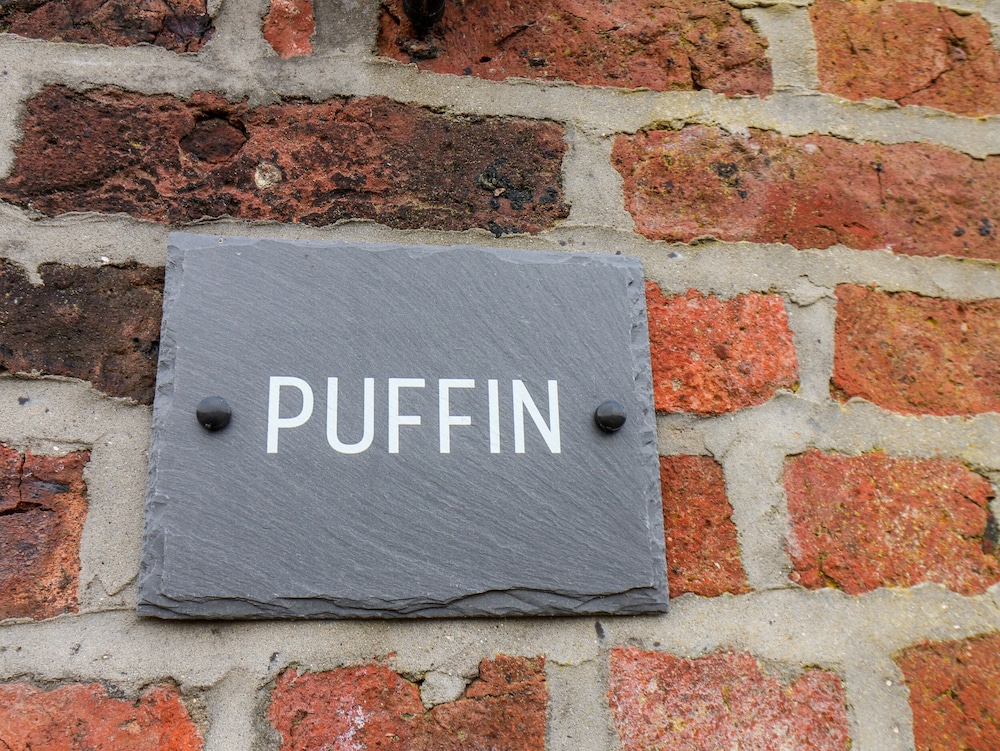 Puffin