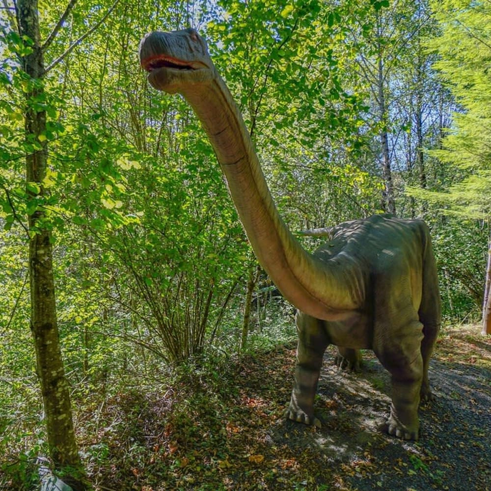 Jurassic Themed Adventure 4BR Home With Hot Tub