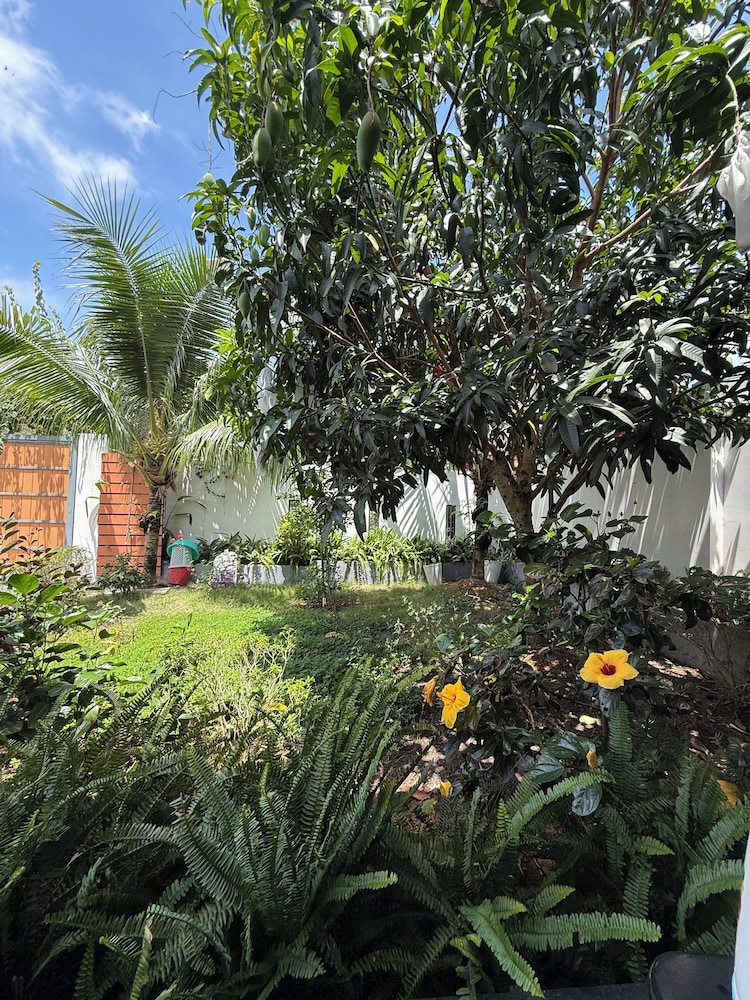HOMESTAY HALONA