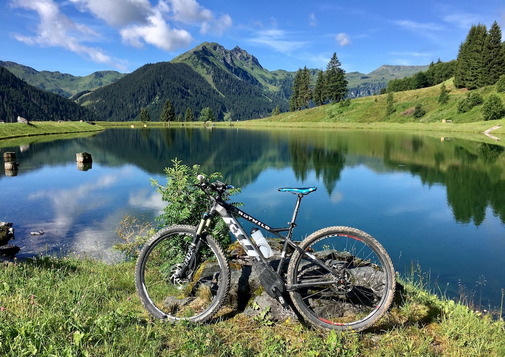 Apartments Living Saalbach