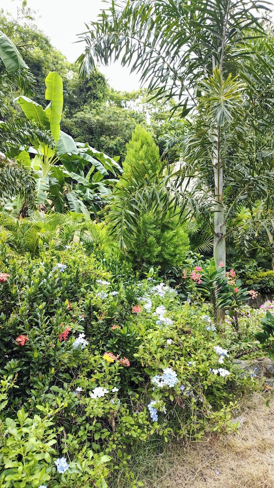 Colibri Parque Tayrona