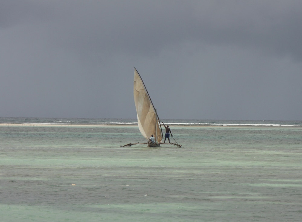 Jamboland-Diani