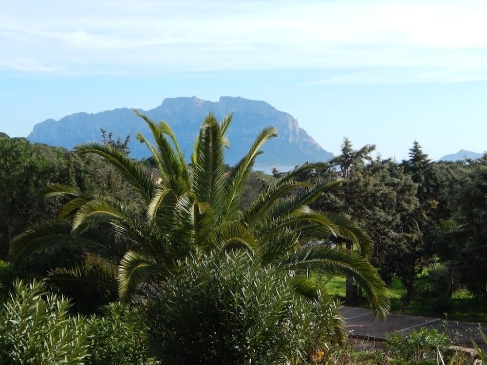 Trilo Bellavista 3 view 5