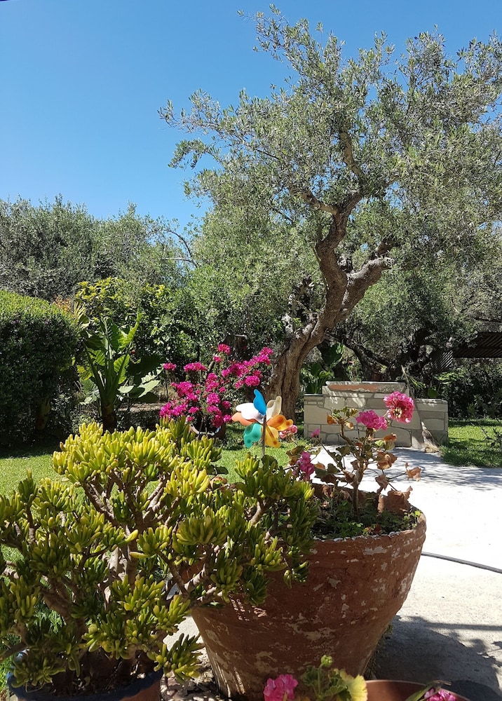 Elia Guesthouse - Kissamos