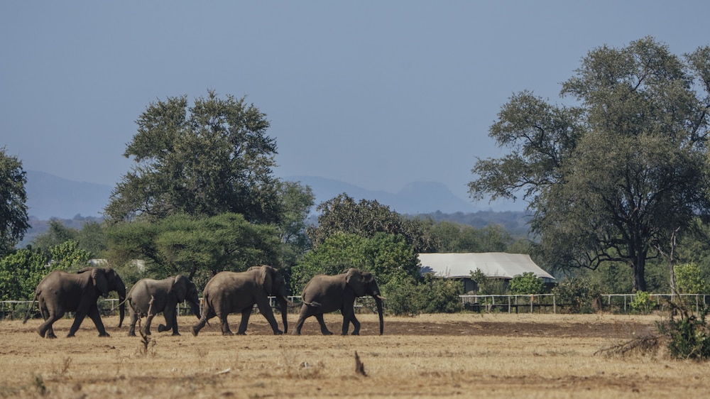 Anabezi Camp