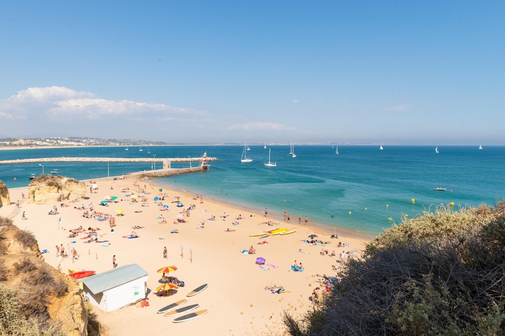 Photo 46