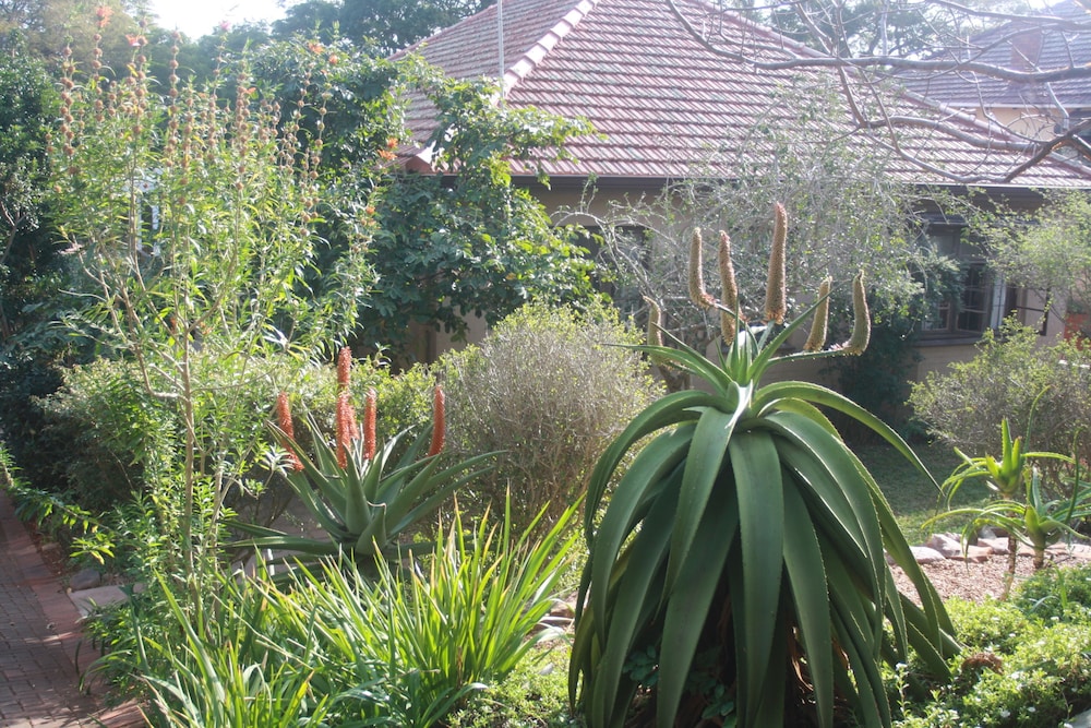 Mackaya Bella Guest House
