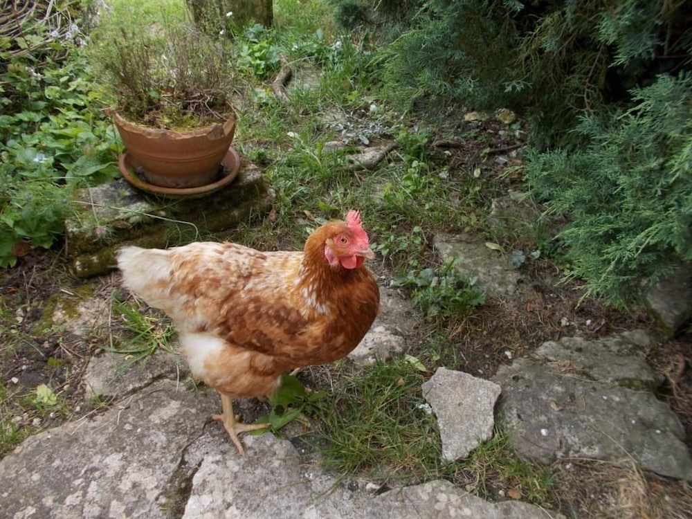 A L'Antan - La Ferme D'Octave