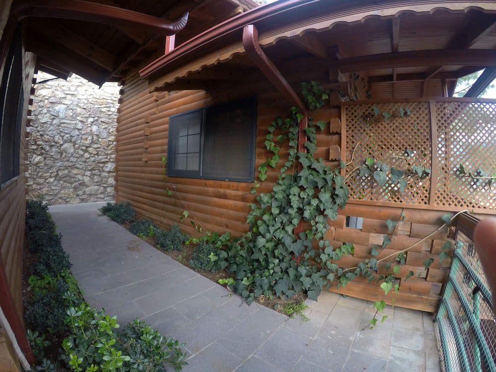 Pasha Bungalovs