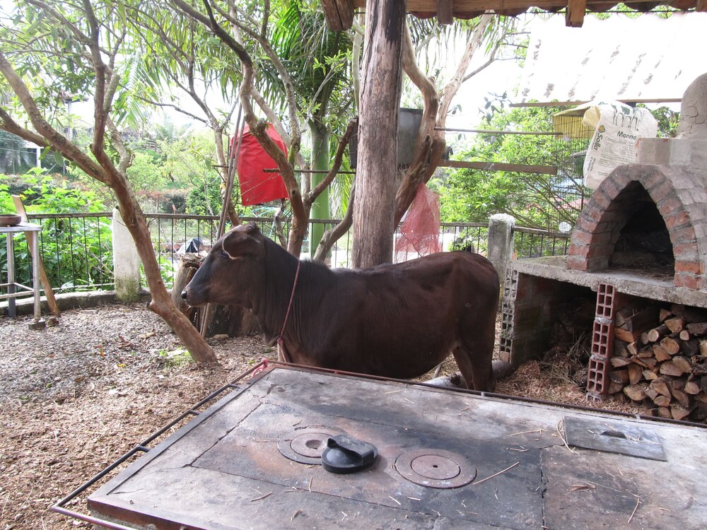 Finca Campestre La Adelita