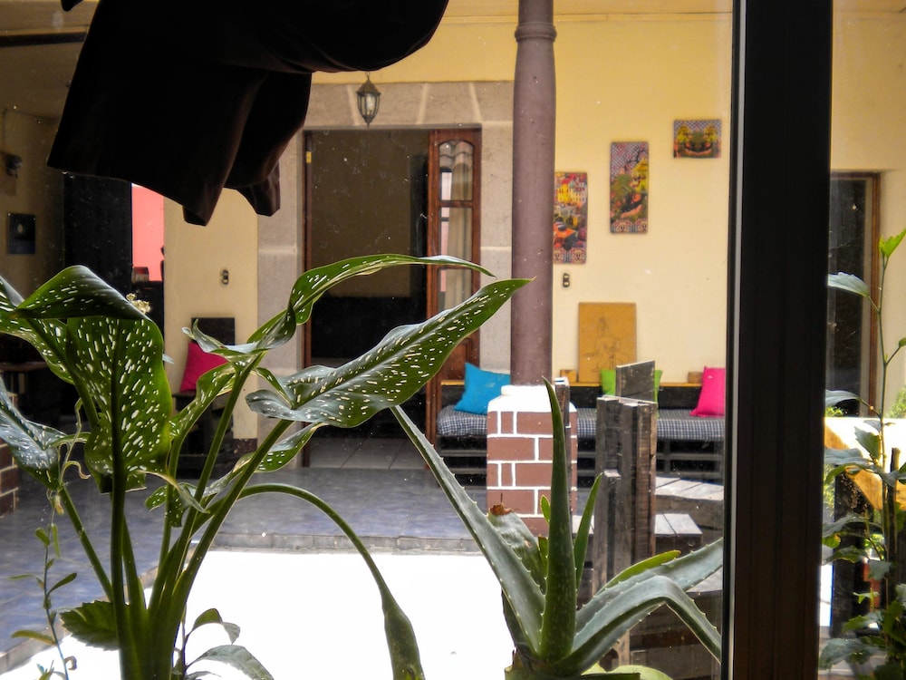 Casa I'X - Hostel, photo 17
