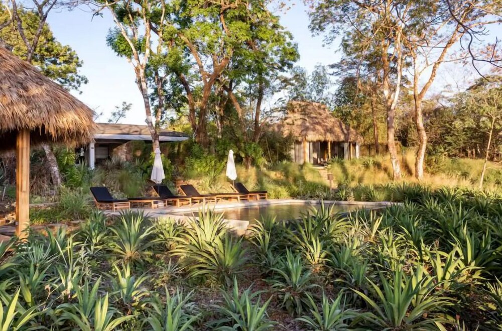 Thea Resort