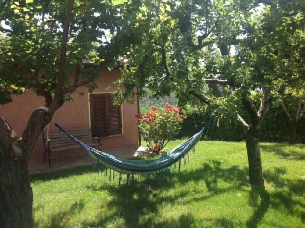 Photo 44