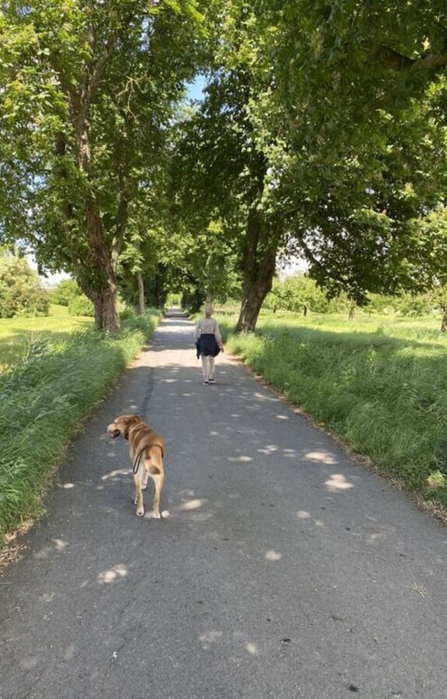 Holiday Apartment Elbe