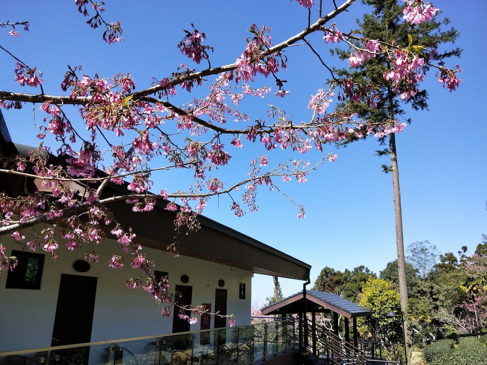 Long Yun Leisure Farm 8