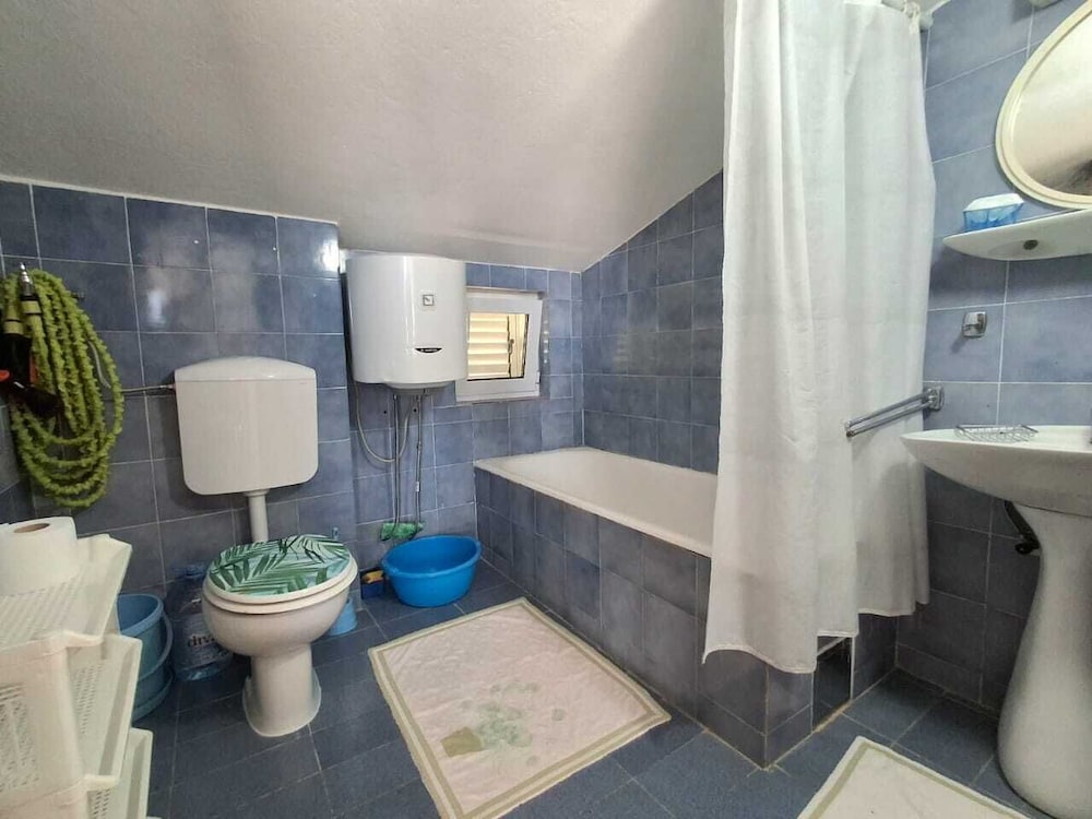 Apartments Andjus