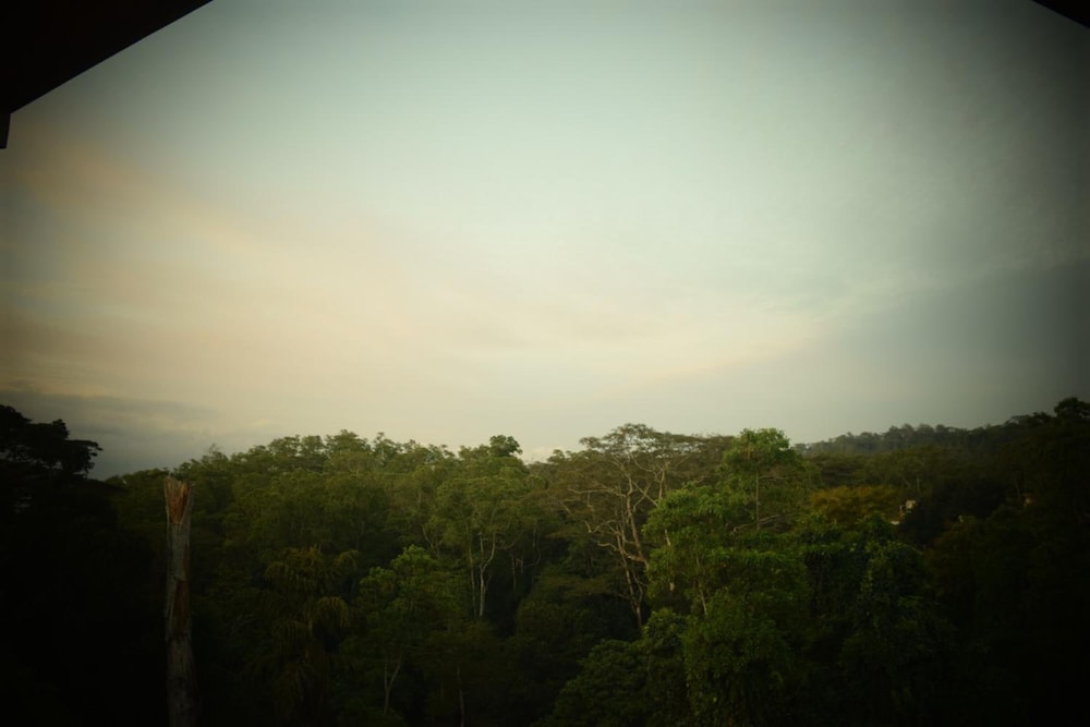 Bee View Home Stay