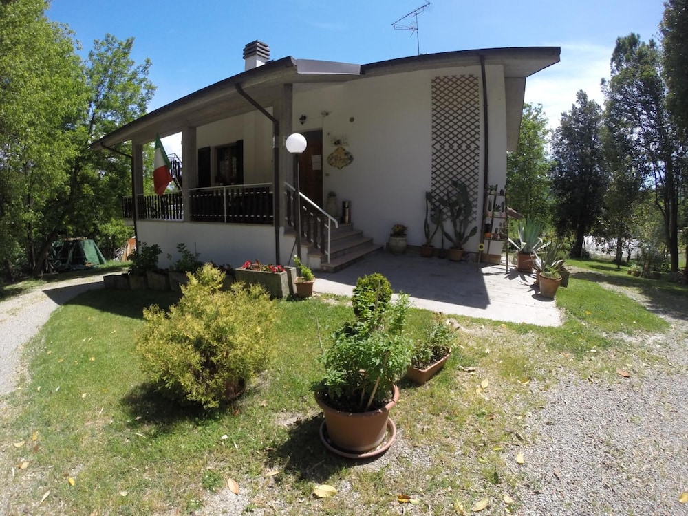 Photo 25