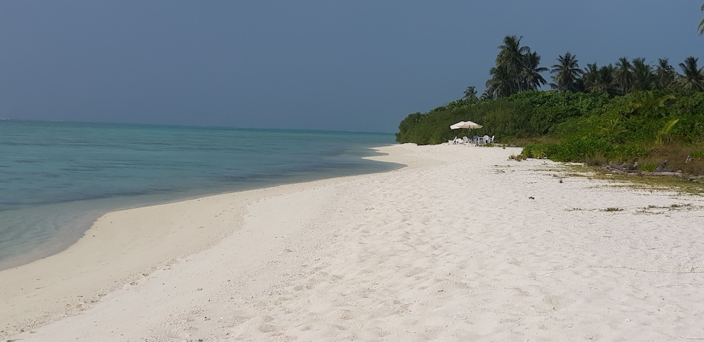 South Ari Inn