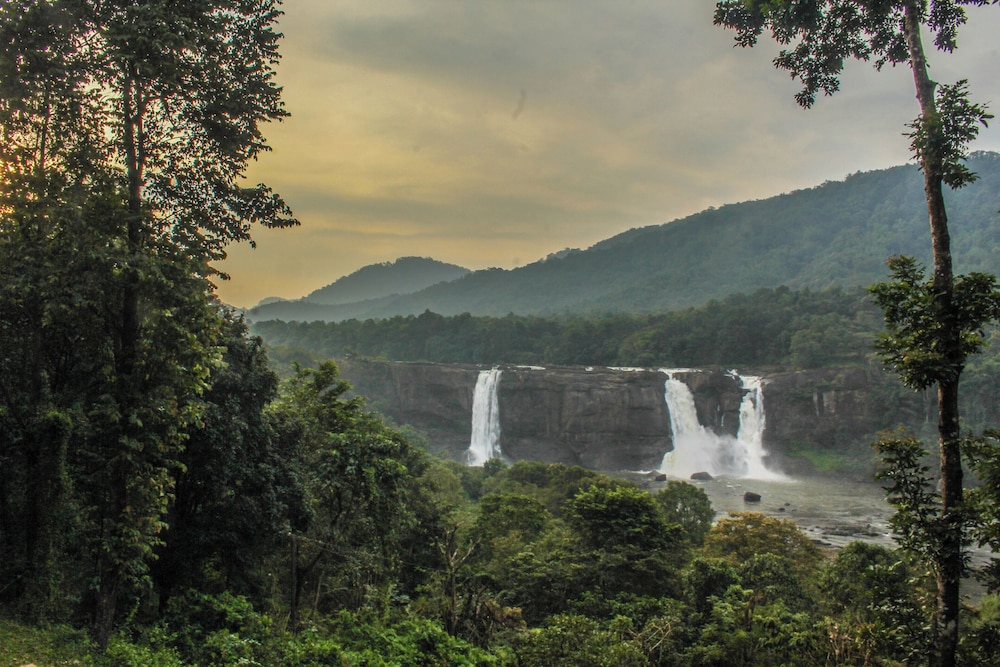 Neelambari Ecotourism Thrissur Aratupuzh