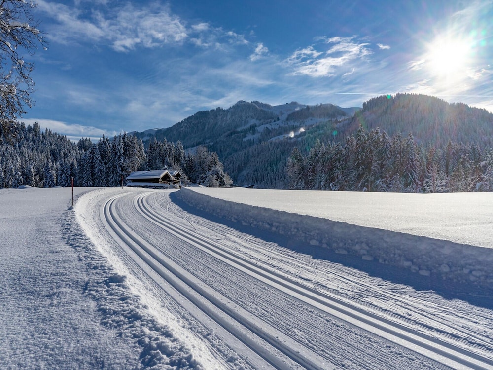 Mount-apartment Directly on Ski-slopes