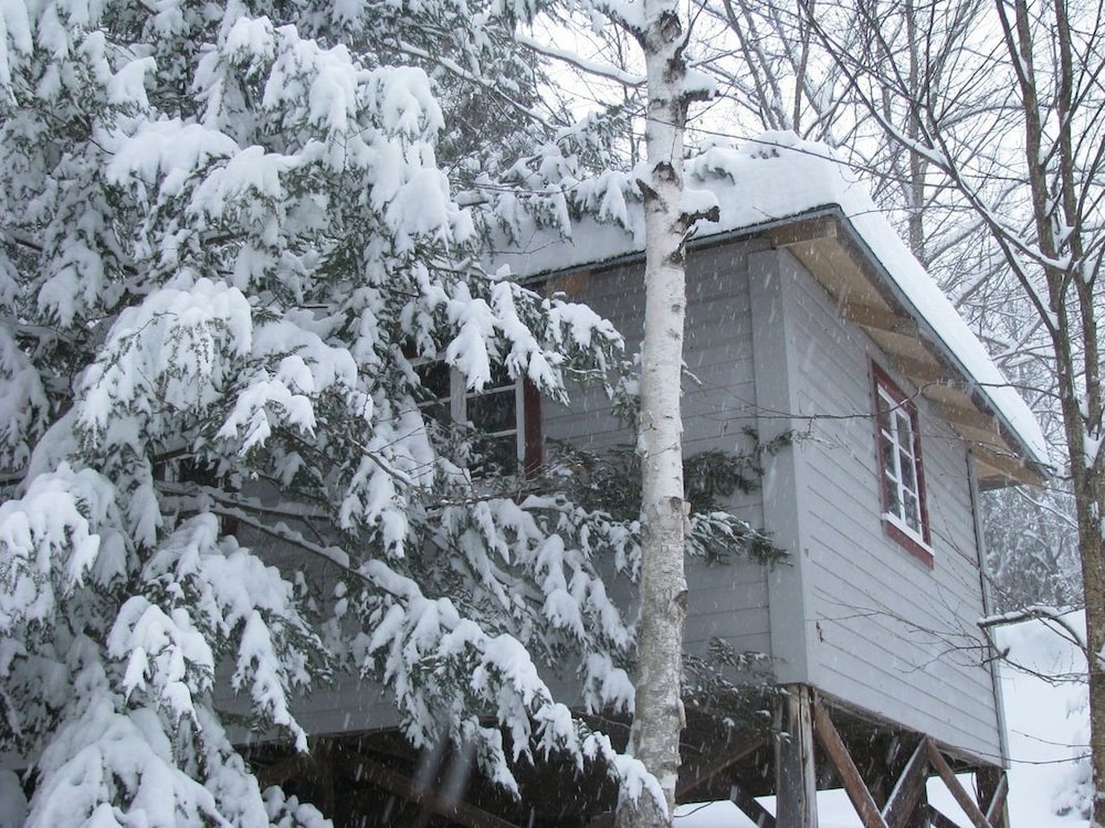 The Woods Lodge