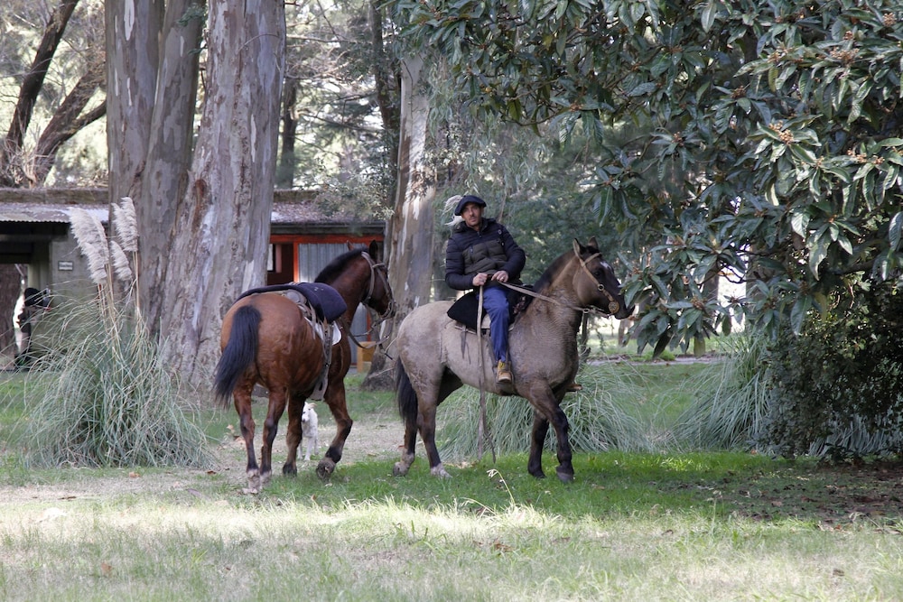 Estancia Argentina La Armonia