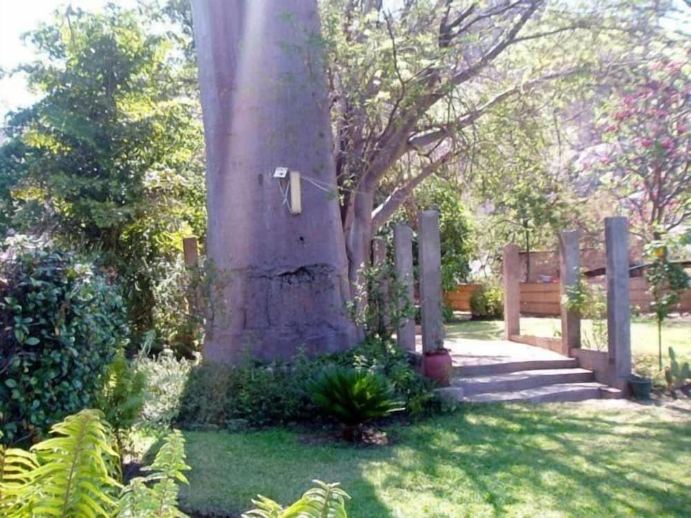 Nkhudzi Beach Lodge