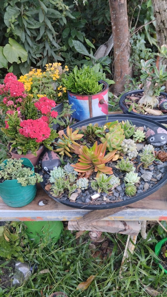 Photo 19