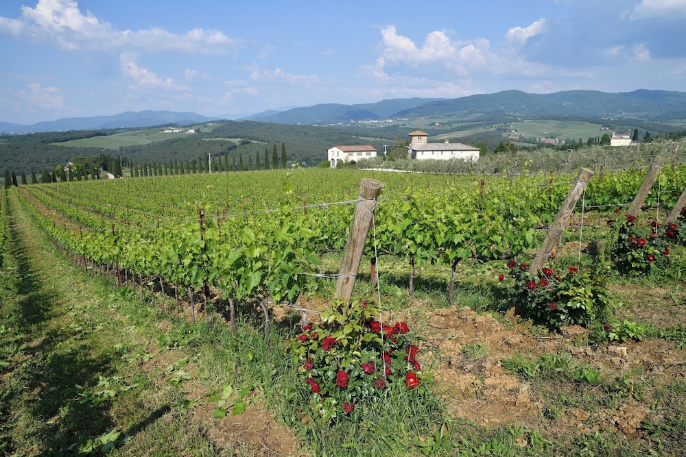 Villa Salivolpe Amazing Chianti View