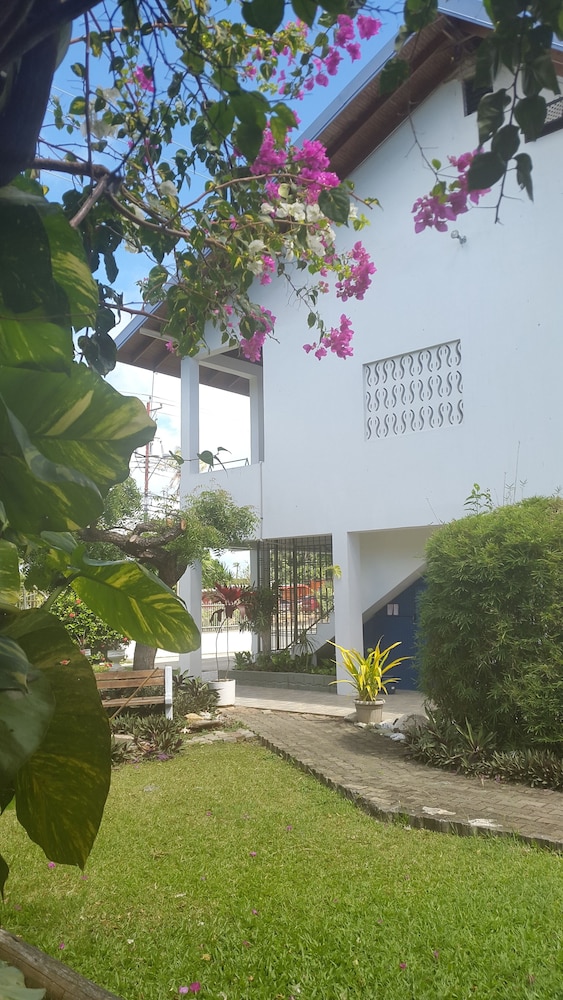 Bananaquit Apartments