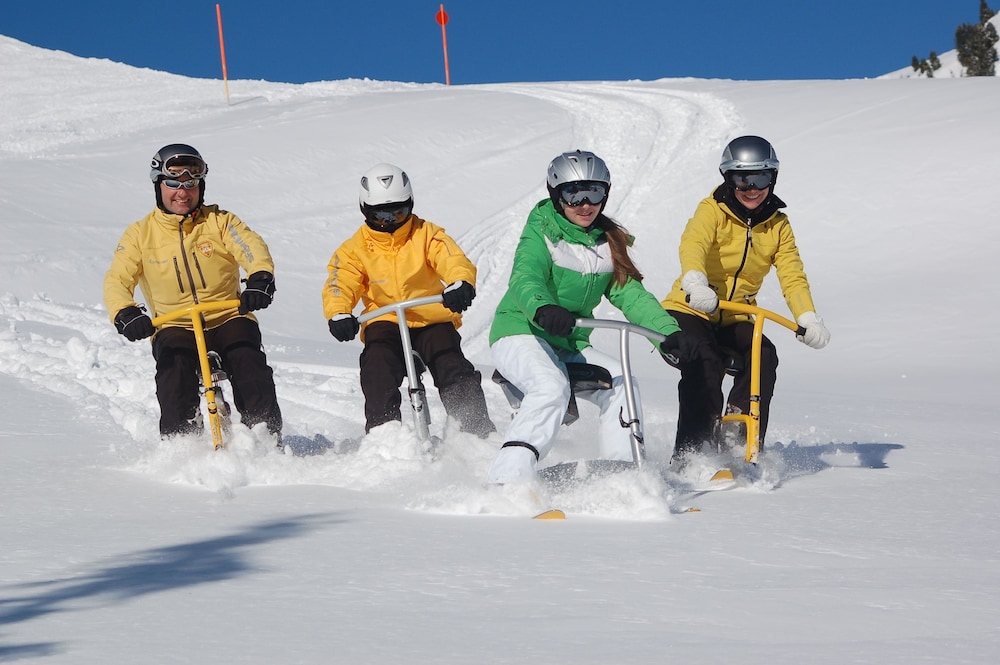 ALP-CHALET Ferienwohnungen Kleinwalsertal