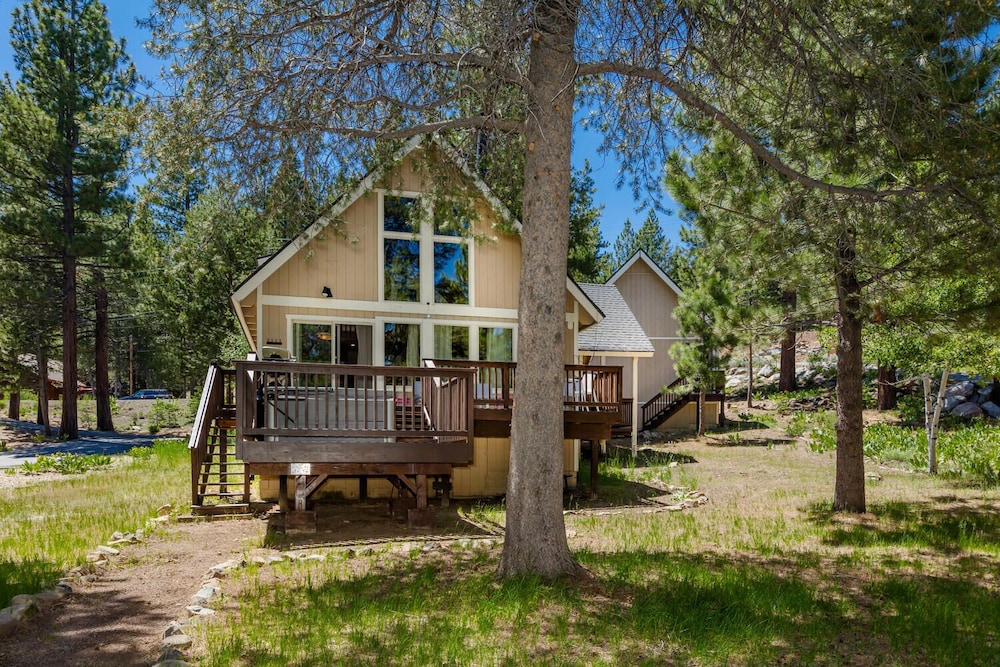 Alder Creek Paradise - Tree-lined Cabin Stay for 7