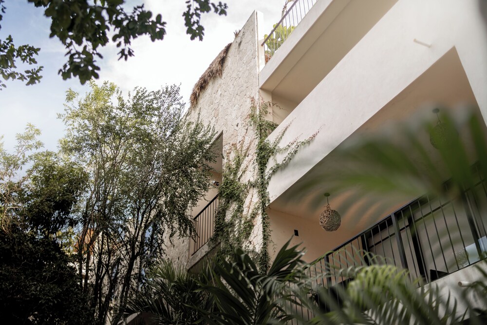 Jungle Resort Suites & Private Pool