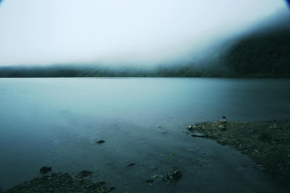 Photo 44