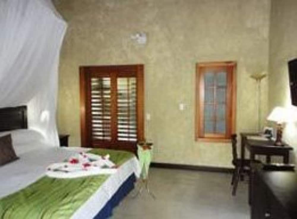 Photo 23