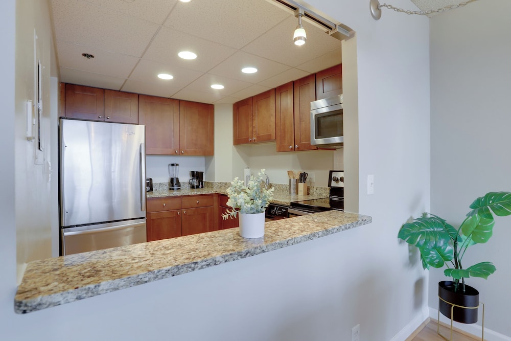 Spacious Apartment at Pentagon City