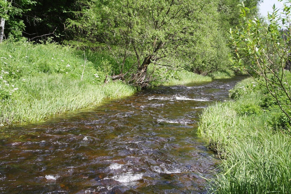 Apartment in Harz Near Brocken Railway