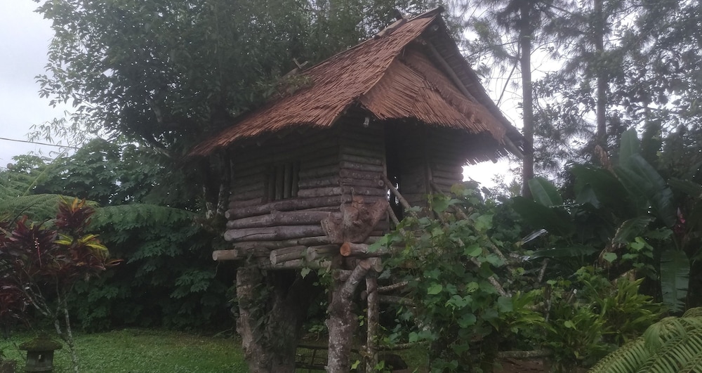 Photo 24