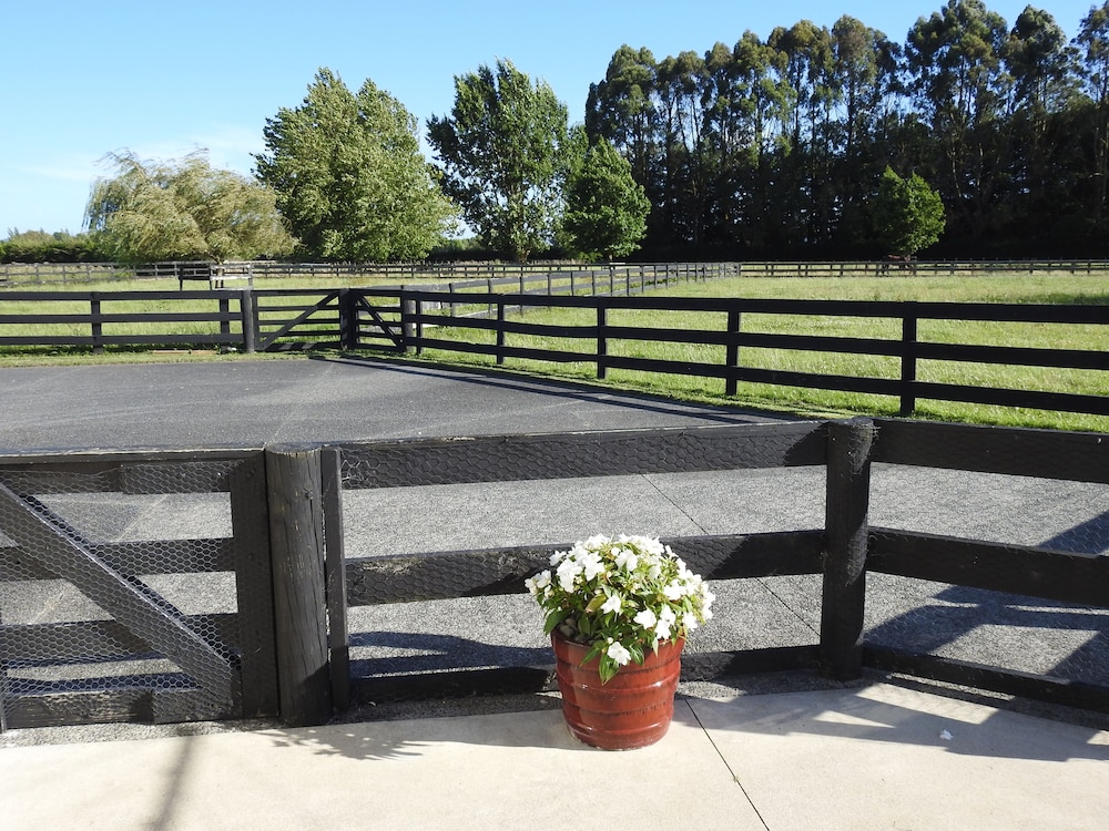 Grasslands Bed & Breakfast, photo 24