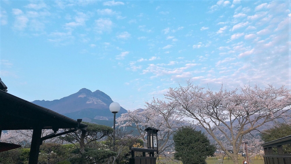 Sansou Tanaka