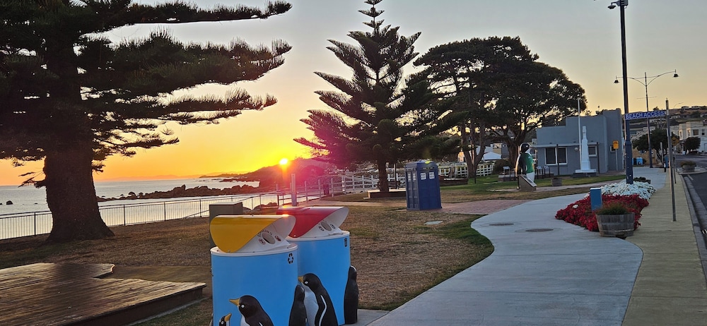 Penguin Retreat