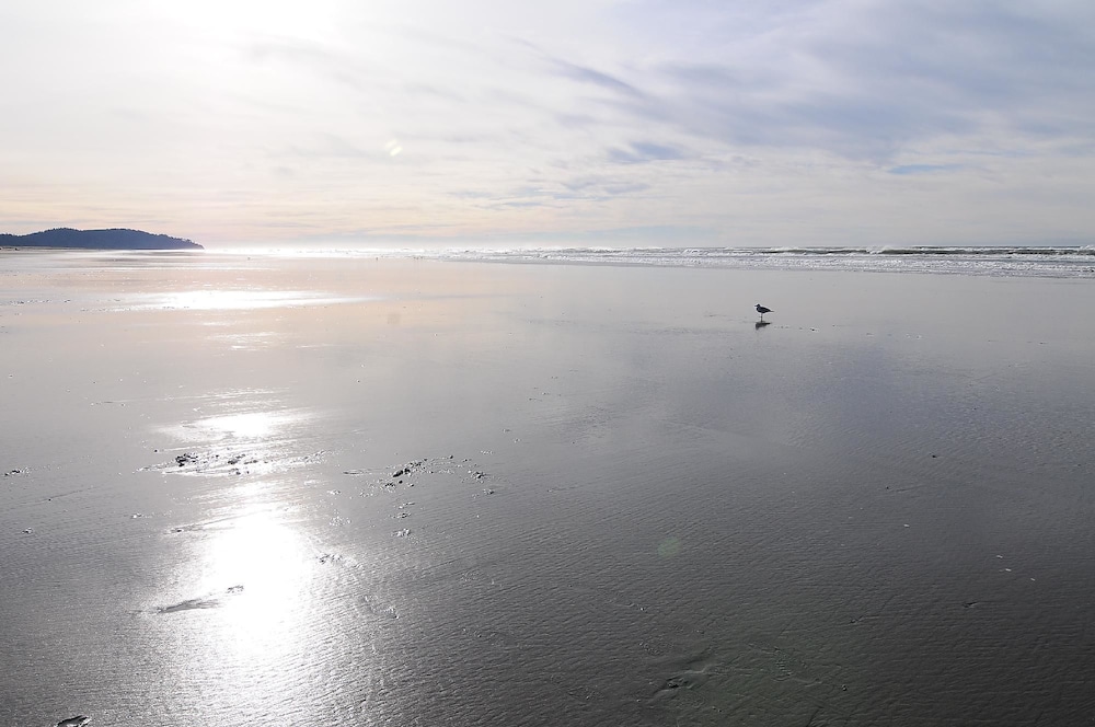 Beach Haven