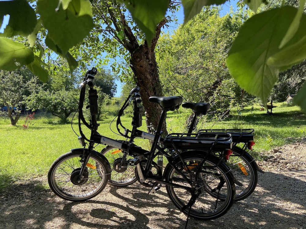 Flo  Marc les hotes de Chouzy-sur-Cisse - Property Image 43