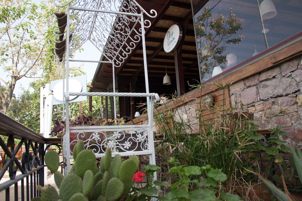 Aliye Hanım - Image 10