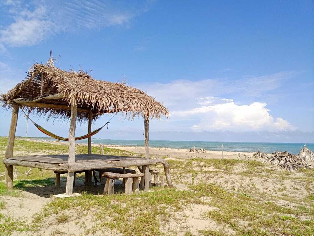 Tambo Marina Ecohostal - Hostel