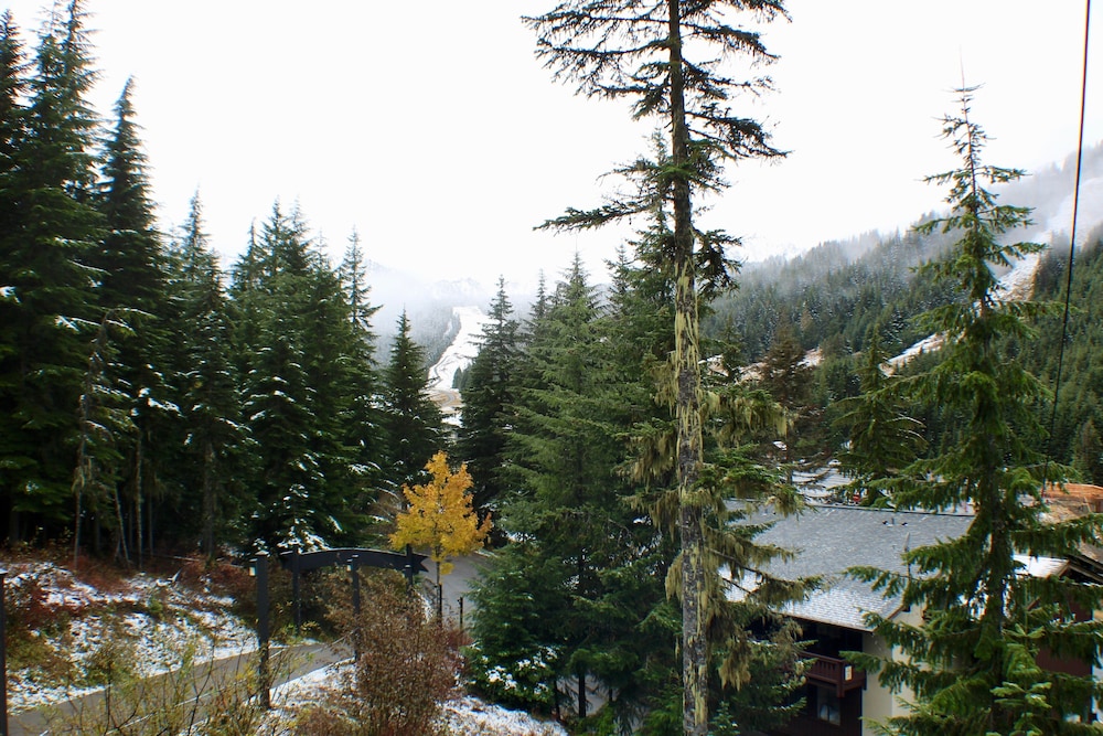 Crystal Chalets Condominiums at Crystal Mountain Ski Resort
