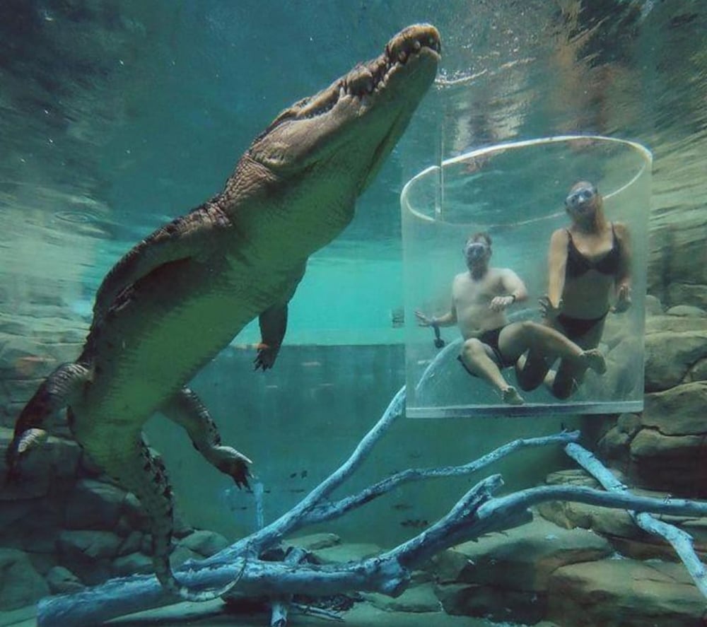 Zen Gem Pool Private Balcony Oceanview - Image 4