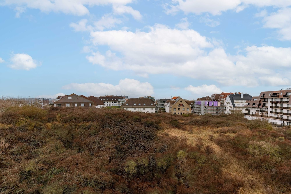 Penthouse on the Dike Bathed in Sunlight